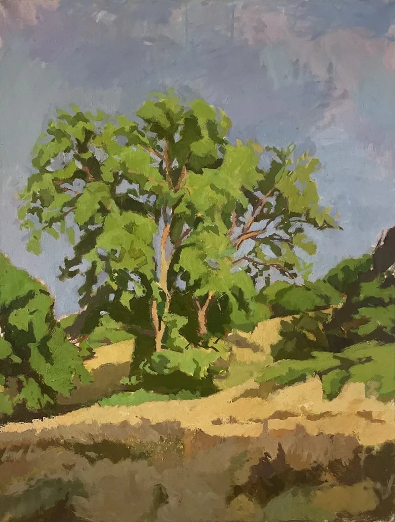 Alexander Pemberton, Canadian Poplars 2023, oil on board